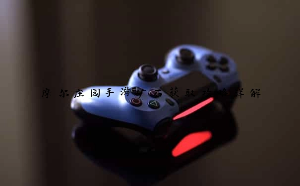 摩尔庄园手游矿石获取攻略详解