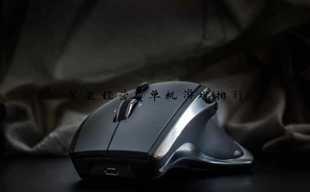 苹果经营类单机游戏排行